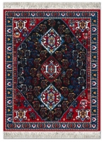 Muismat Perzisch tapijt, Pershian Qashqai